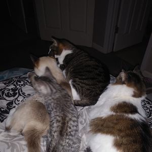 Meet your Posher, Brandy